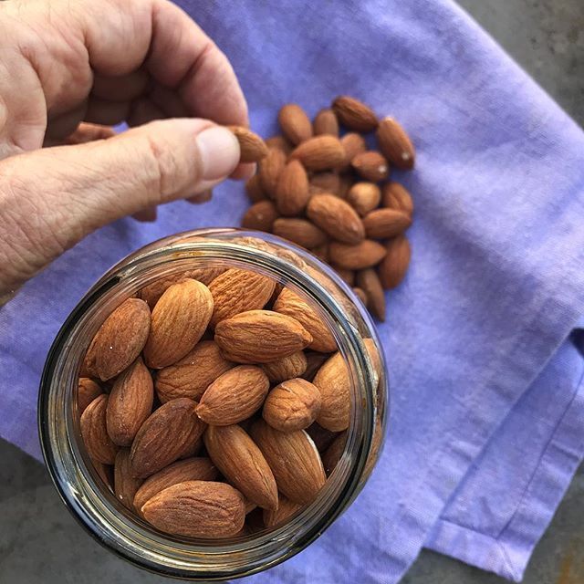 Premium Quality Almond Nuts / roasted almonds