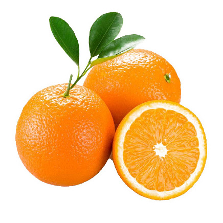 Fresh citrus fruits /Pongkam/ Lokam/Canada oranges/Mandarin oranges/Kinnow