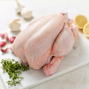 Halal Frozen Whole Chicken / Frozen Chicken Feet / Frozen Chicken Paws Wings with cheap rate