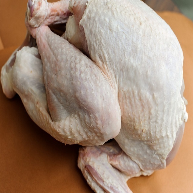 Halal Frozen Whole Chicken / Frozen Chicken Feet / Frozen Chicken Paws Wings with cheap rate