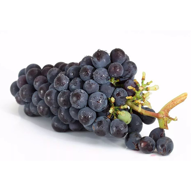 Canada Fruit White Seedless Grapes Fresh