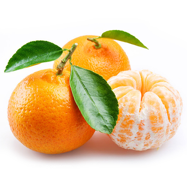 Fresh citrus fruits /Pongkam/ Lokam/Canada oranges/Mandarin oranges/Kinnow