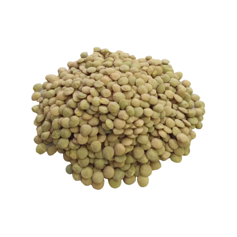 Low Price Green Lentils High Grade Top Quality Green Lentils Worldwide