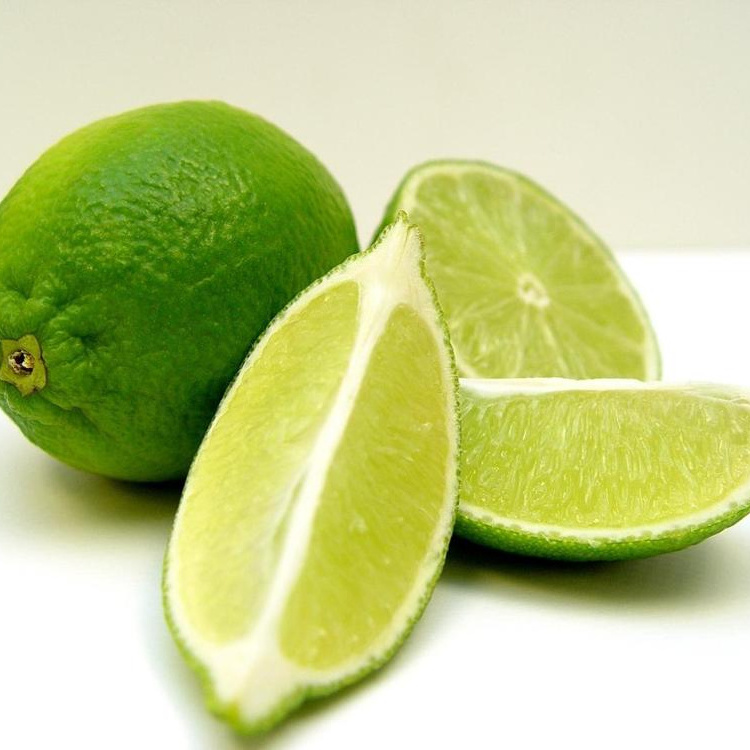 Fresh green seedless lime and lemons from Canada for export