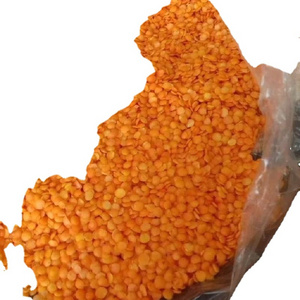 Best Price Canadian Whole Green Lentils Dry Organic Green Lentils Bulk Stock Available With Customized Packing