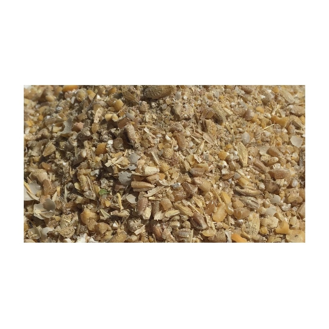 Wholesale Price Organic Grower Chicken Feed | Best organic Grower Feed Non Gmo Bulk Stock Available For Sale