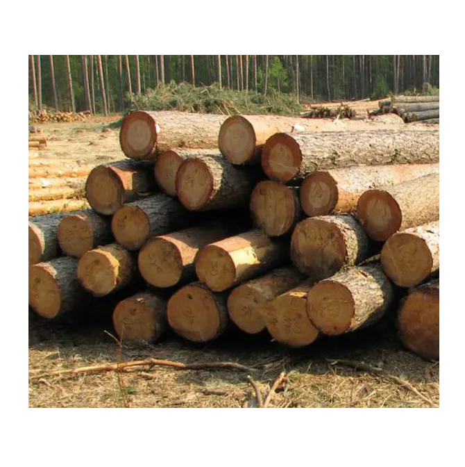 Cheap Pine Wood Logs Make Sawn Timber Original From Germany