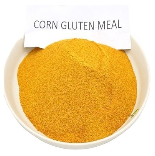 Usa Yellow Maize | Corn Gluten Meal Corn Protein Feed Golden Yellow Poultry Feed Animal Products Sun Dried 2 Grade Grain