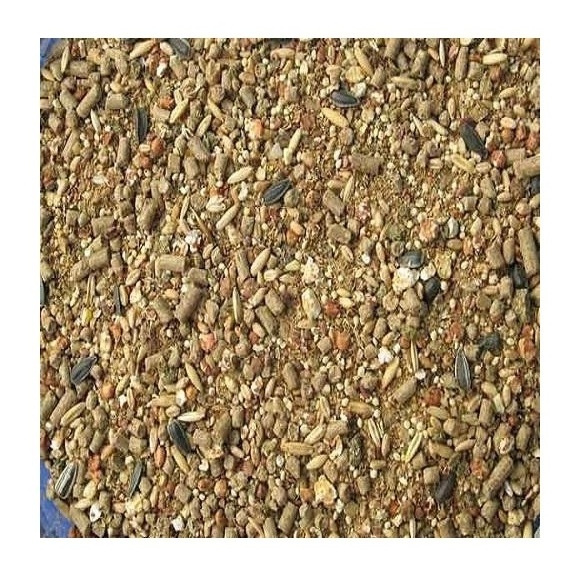 Wholesale Price Organic Grower Chicken Feed | Best organic Grower Feed Non Gmo Bulk Stock Available For Sale