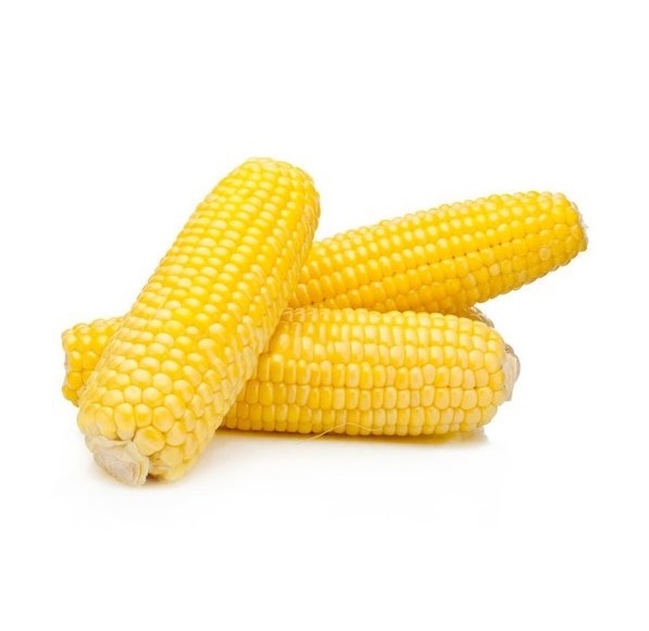 Yellow corn Maize - Wholesale French Sweet Yellow Corn For Animal Feed | Dried Wholesale Corn Grains