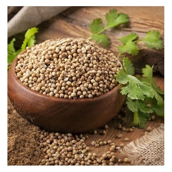 Best Quality Of Organic Coriander Seeds  At Low Prices