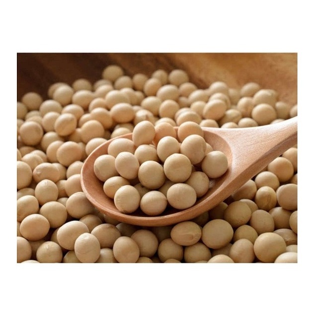 Soybeans Good Quality / Soybeans Seeds / Soy bean for Sale