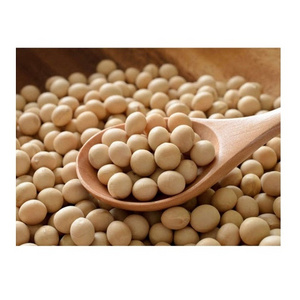 Soybeans Good Quality / Soybeans Seeds / Soy bean for Sale