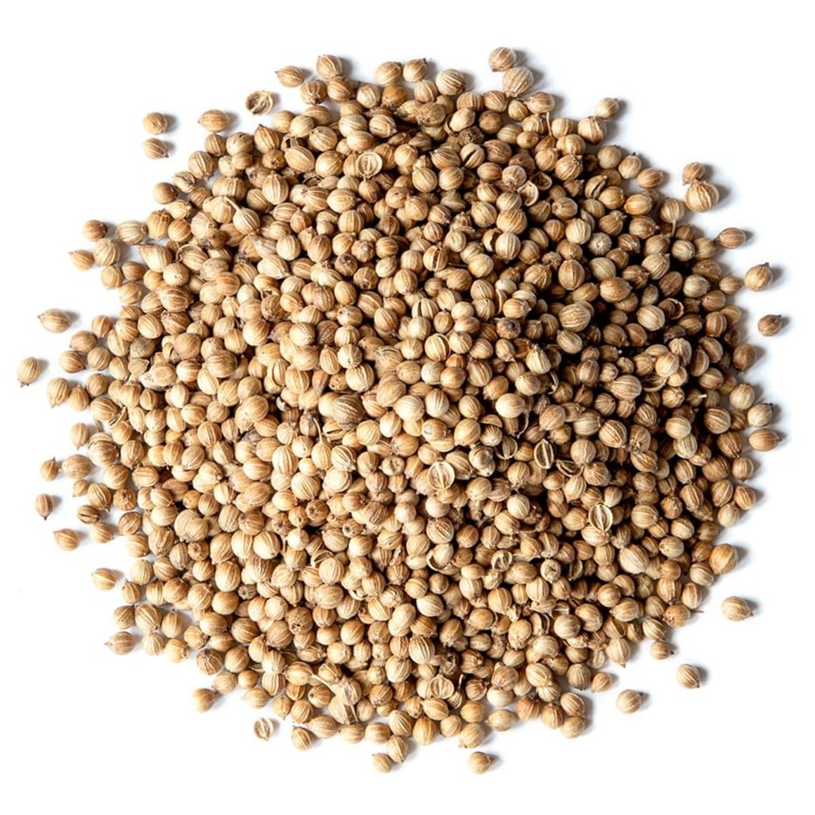 Best Quality Of Organic Coriander Seeds  At Low Prices