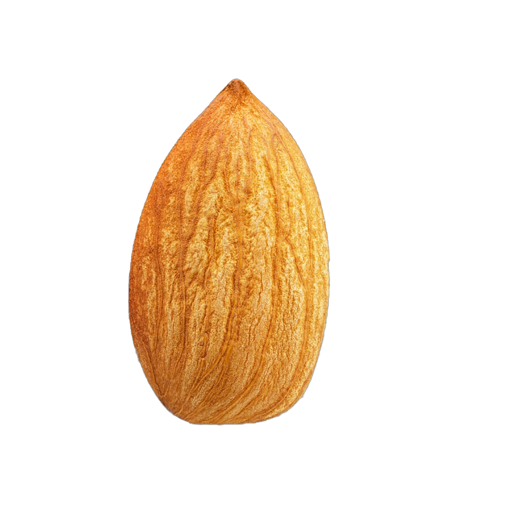 Brown 100% pure natural organic large grain almonds and raw almonds nuts for sale in bulk from USA