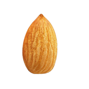 Brown 100% pure natural organic large grain almonds and raw almonds nuts for sale in bulk from USA