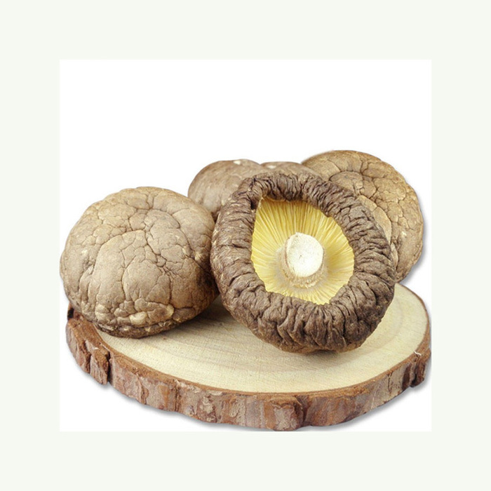 wholesale bulk package dried shiitake mushroom