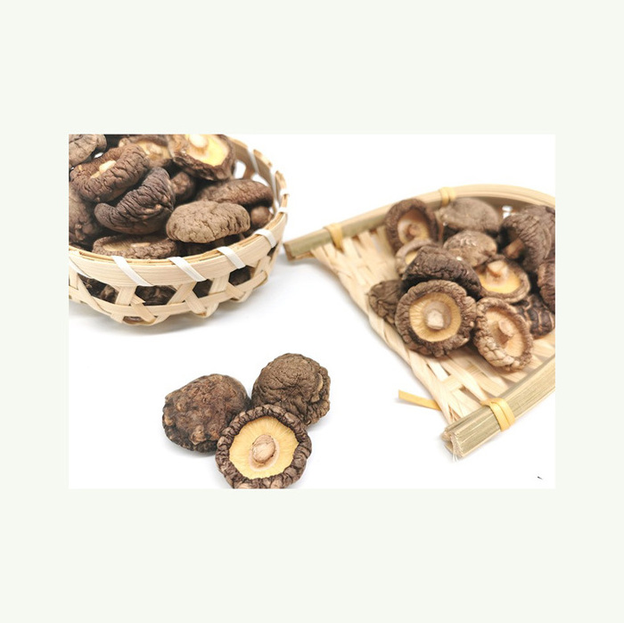 wholesale bulk package dried shiitake mushroom