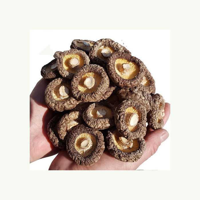 wholesale bulk package dried shiitake mushroom