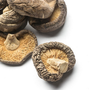 Export dried mushroom dehydrated shiitake mushroom for sale