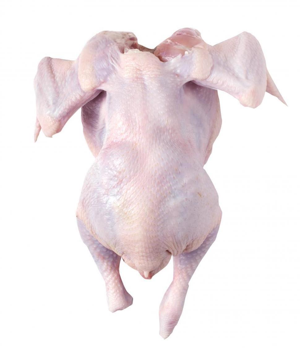 QUALITY HALAL WHOLE FROZEN CHICKEN FOR AMERICA MARKET