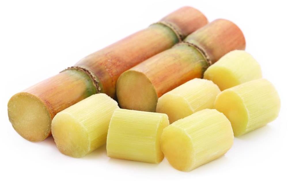 High Quality And Best Price 2023 FROZEN SUGAR CANE