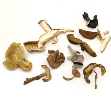 Best Quality Wholesale Bulk Morel Mushroom Dried Black Morel