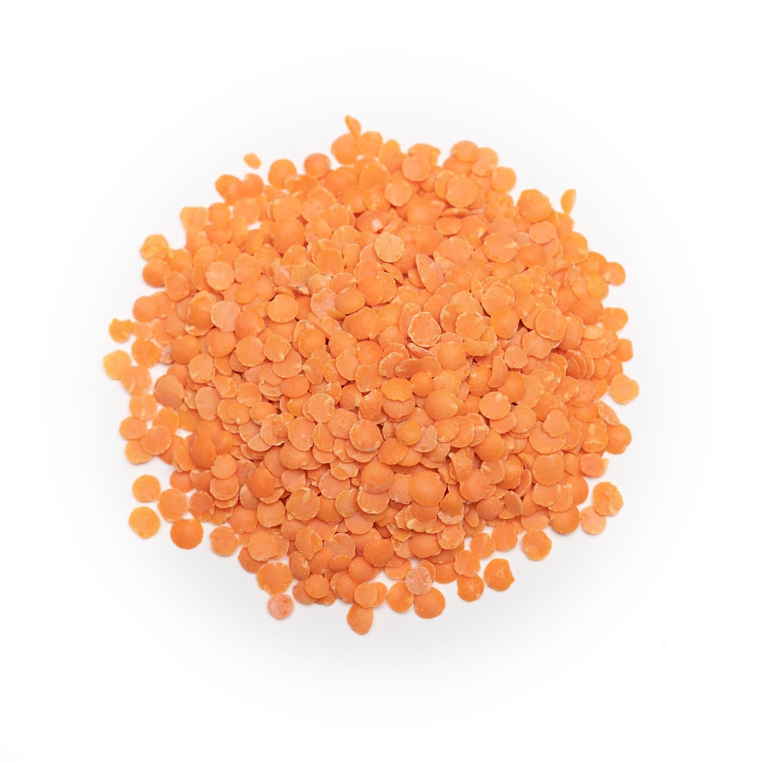 Wholesale Price Red Lentils, Red Whole Lentils and Red Split Lentils