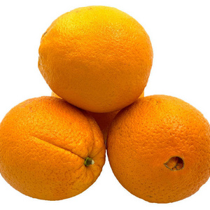 Fresh Oranges/fresh fruit /fresh oranges Citrus sweet mandarin orange