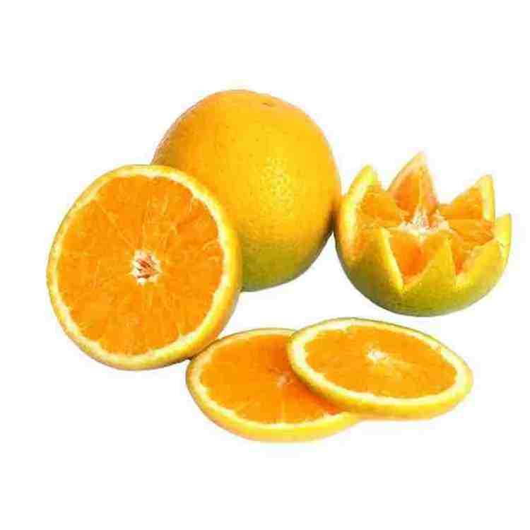 FRESH CITRUS FRUITS - Valencia/Navel Orange, Lime/Lemon, Mandarin Oranges, Citrus,Tangerines for sale From Canada