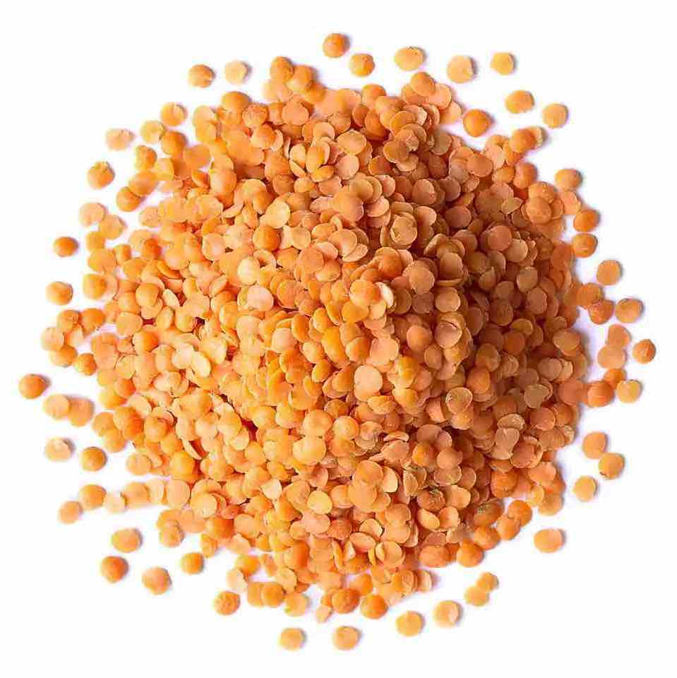 China High Quality Lower Price Dry Organic Red Cowpea Cow Pea Beans