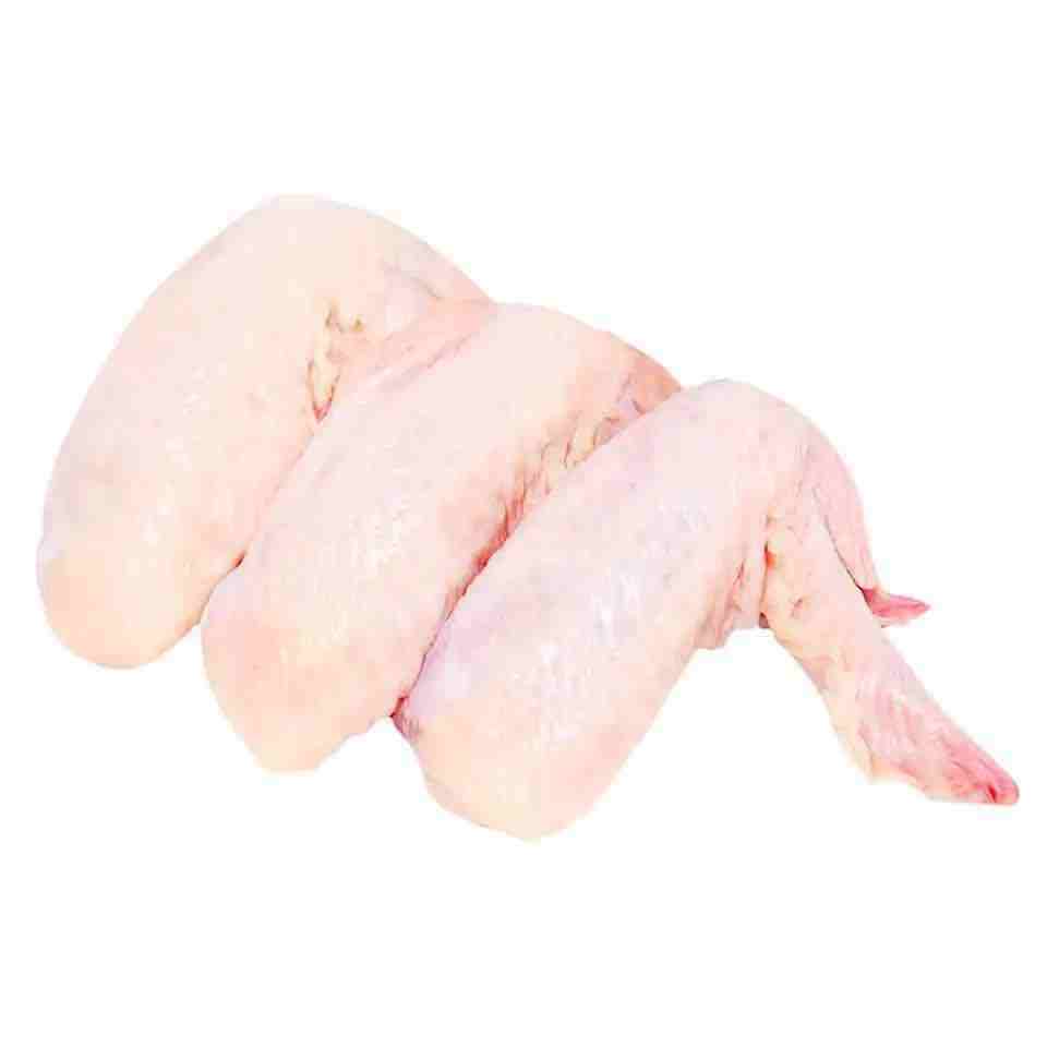 Frozen chicken for China JBS SEARA BRF Brazil Chicken Feet Chicken Paws Sif Supplier from USA