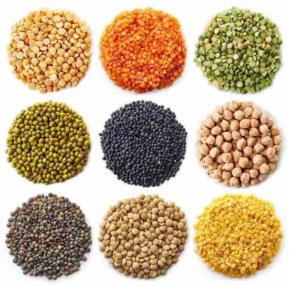 China High Quality Lower Price Dry Organic Red Cowpea Cow Pea Beans