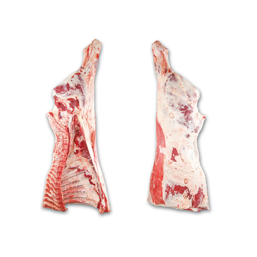 Box Packaging Body FROZEN Frozen Halal Beef Carcasses Certified Beef Meat