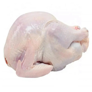 HALAL Cheap Frozen Whole Chicken From Brazil Whole Chicken, Legs and Wings