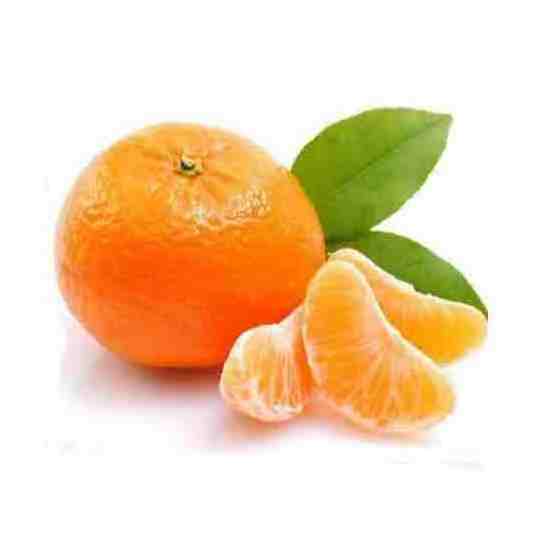 FRESH CITRUS FRUITS - Valencia/Navel Orange, Lime/Lemon, Mandarin Oranges, Citrus,Tangerines for sale From Canada