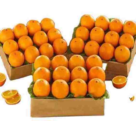 FRESH CITRUS FRUITS - Valencia/Navel Orange, Lime/Lemon, Mandarin Oranges, Citrus,Tangerines for sale From Canada