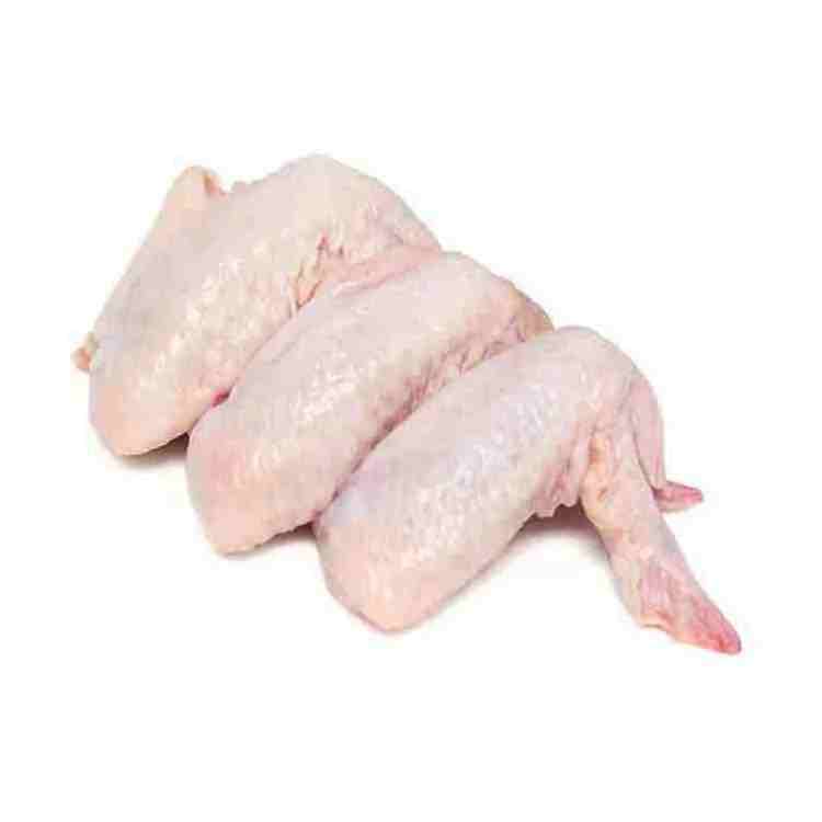 Frozen chicken for China JBS SEARA BRF Brazil Chicken Feet Chicken Paws Sif Supplier from USA