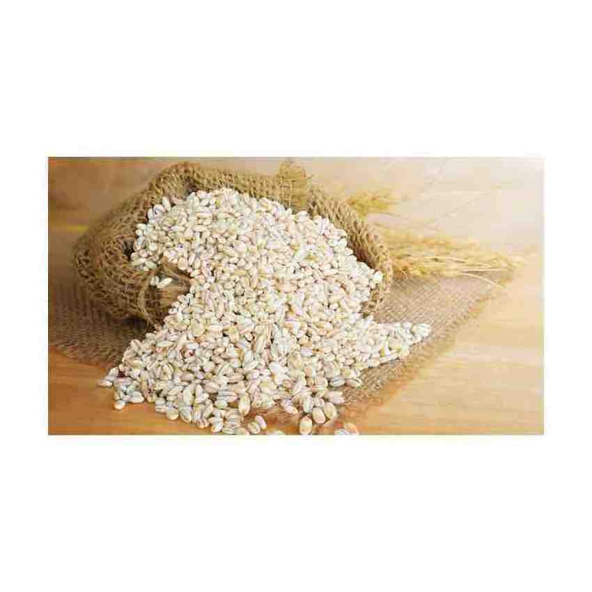 Barley Grains Premium Barley Seeds/Animal feed barley/bulk barley grains Malted Barley Malt grain for sale Top Grade