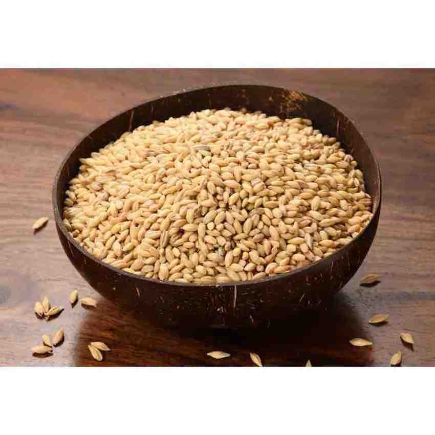 Barley Grains Premium Barley Seeds/Animal feed barley/bulk barley grains Malted Barley Malt grain for sale Top Grade