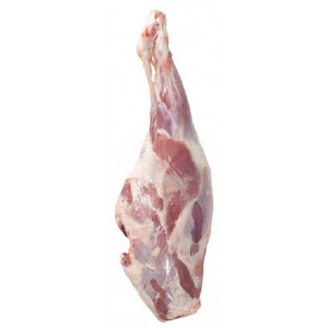 Frozen Lamb For Sale Buy Frozen Halal Lamb Tail Fat For Sale Buy Frozen Lamb At Cheap Low Prices For Sale