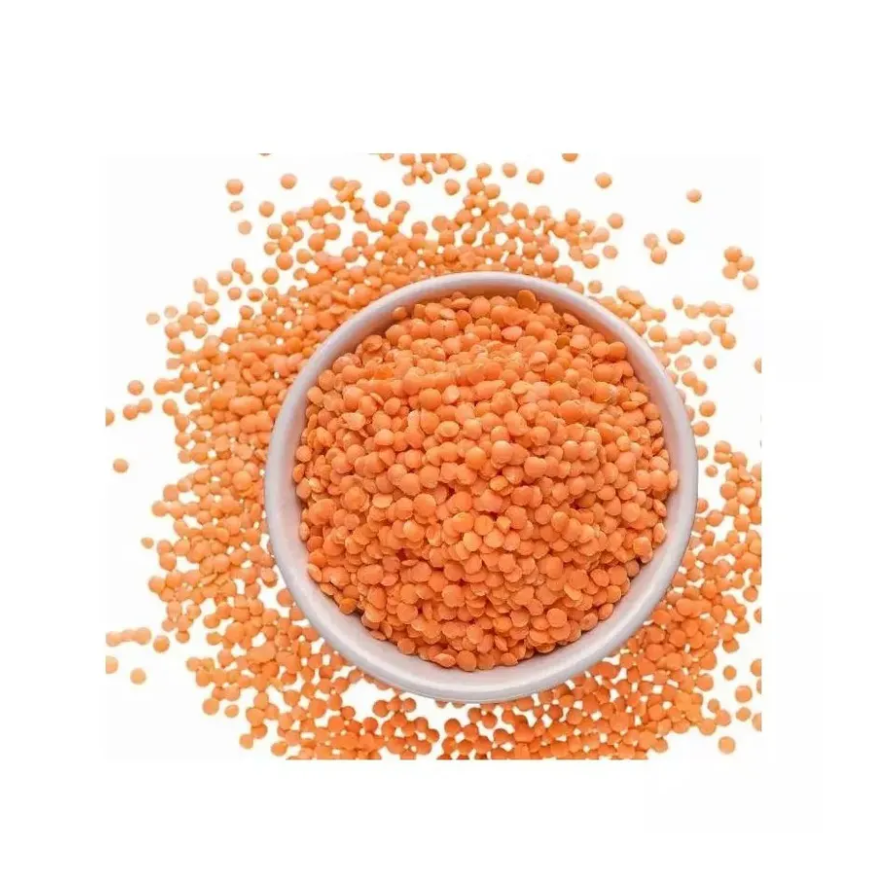 High Quality Organic Canadian Red Lentils / Split Red Lentils Available For Sale At Low Price, Fresh Red Lentil Cheap Price