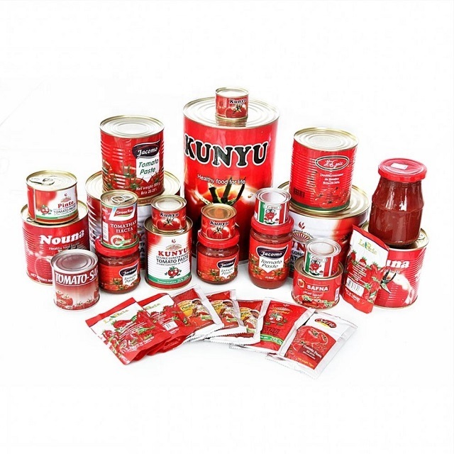 Organic Ingredients Tinned Tomato Paste 22/24 Bx 25X140G Food Seasoning For Sale