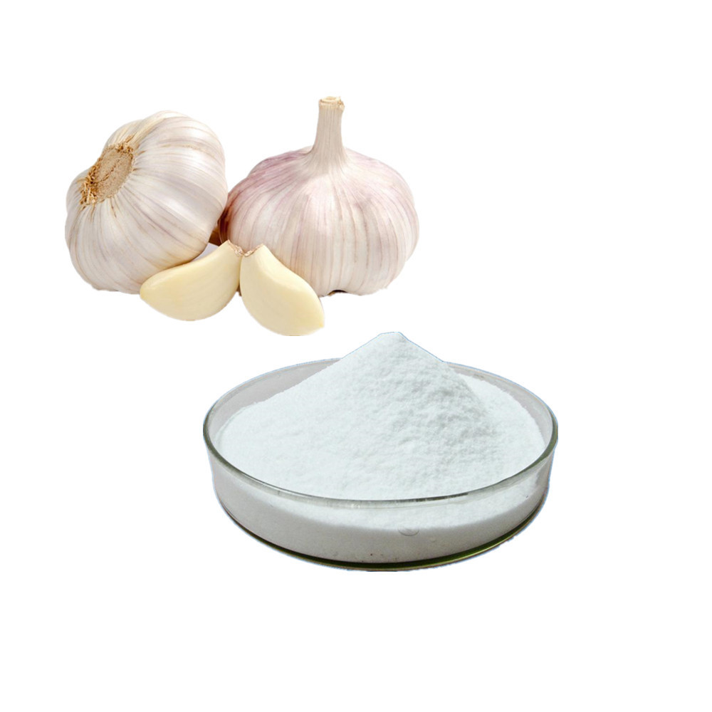 High Quality Cheap Dried Garlic Powder Pure Dehydrated Garlic Granules Manufacturer