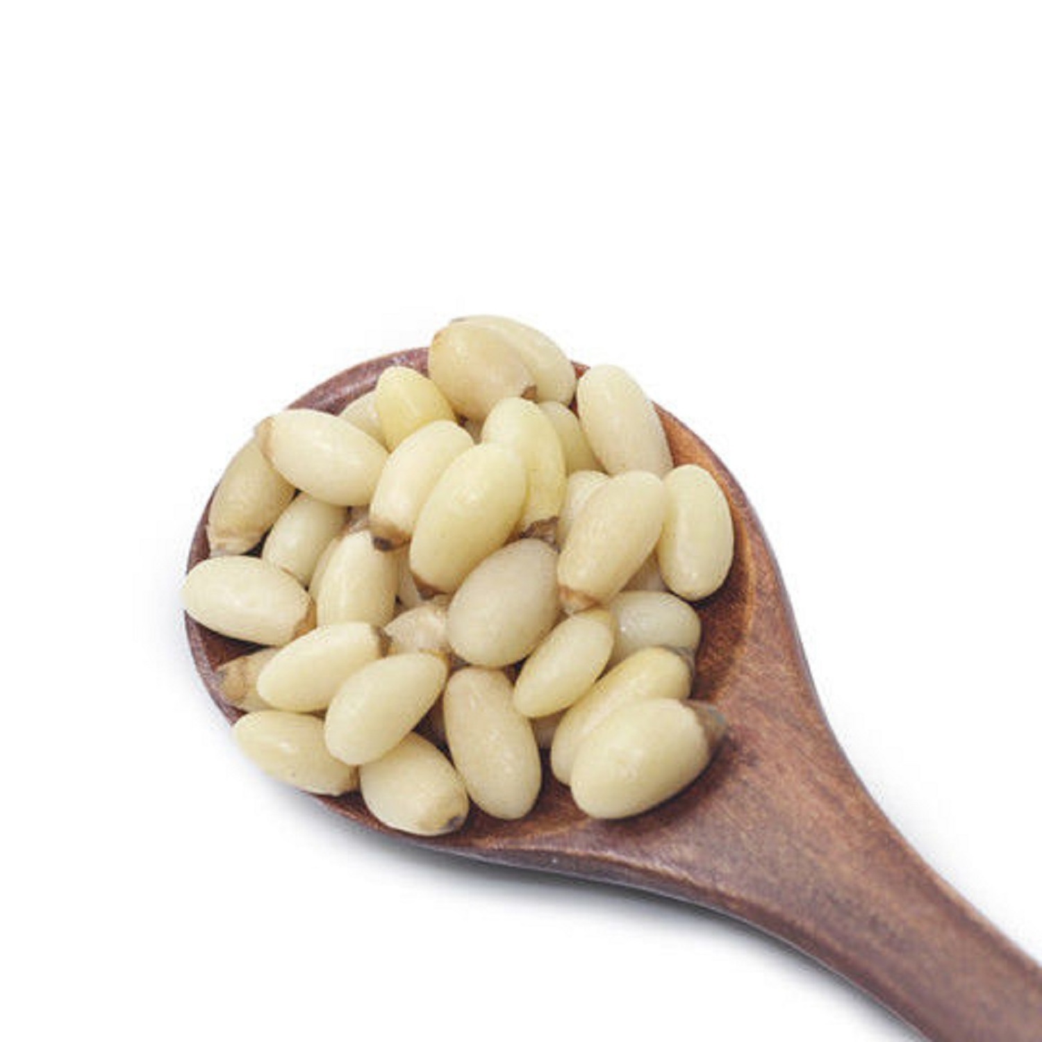 Pine Nuts High Quality Best Prices Natural Puree Turkish Pine Nuts Bulk KG or Any Requested Pine Nuts