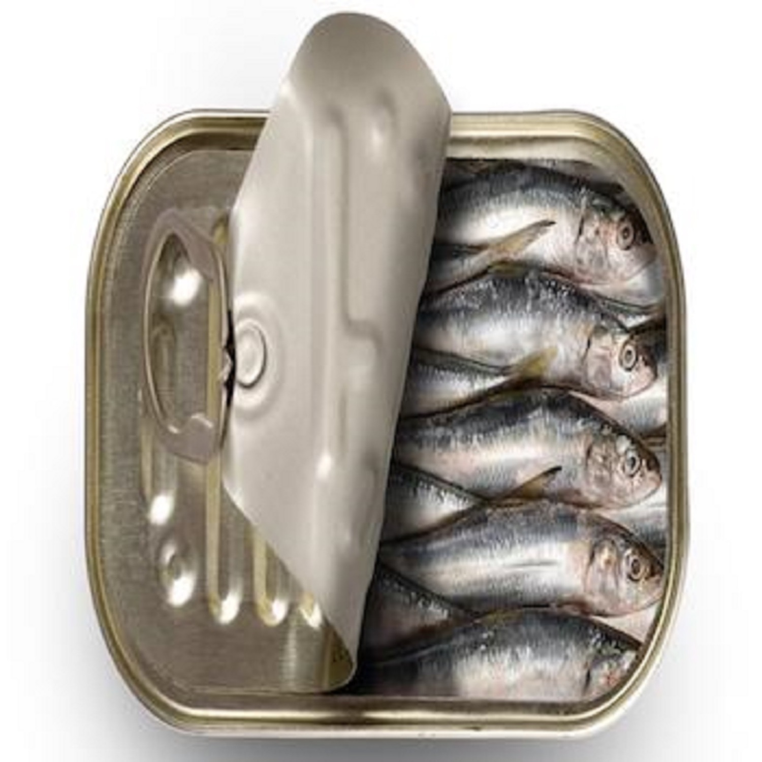 Hot Selling Wholesale Canned Fish Canned Sardines in Vegetable Oil 155g Low Price