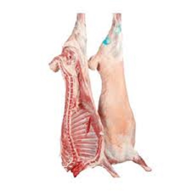 Hot Sale Halal Frozen Goat / Lamb / Sheep Meat Premium Quality Frozen Lamb Cheap Price