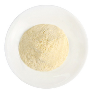 High Quality Cheap Dried Garlic Powder Pure Dehydrated Garlic Granules Manufacturer