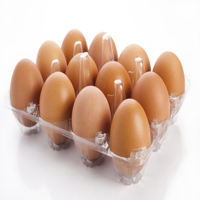 Quality egg products fertilized Fresh Brown Table Chicken Eggs Cheap Fresh Chicken Table Eggs Fresh Chicken in Bulk