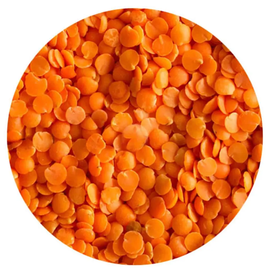 High Quality Organic Canadian Red Lentils / Split Red Lentils Available For Sale At Low Price, Fresh Red Lentil Cheap Price